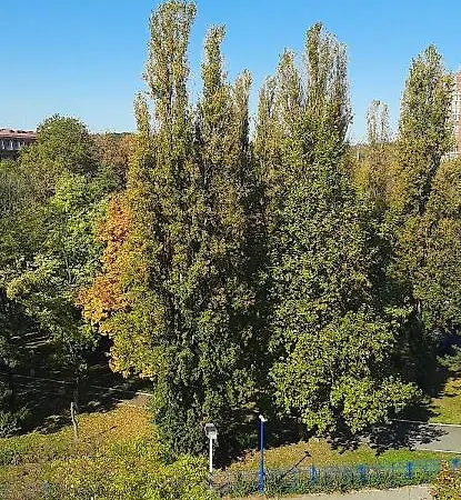 Apartament Student City, Wifi 300mbs Belgrad